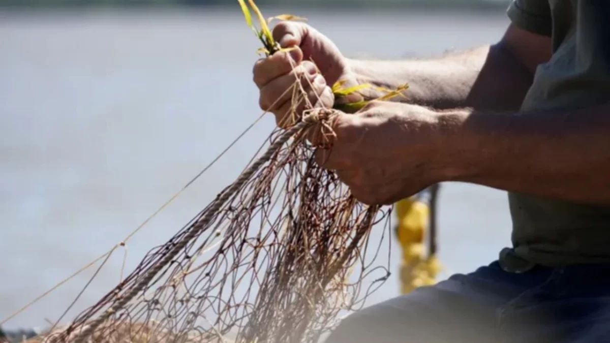 Video viral: Un pescador reveló el mejor truco para pescar con una fruta como carnada