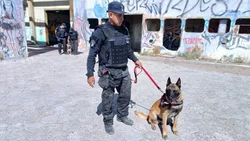 La unidad que desactiva el peligro: perros y expertos trabajan contra las amenazas explosivas