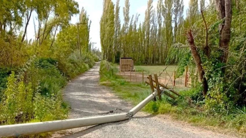 El temporal de viento dejó árboles caídos y un transformador quemado
