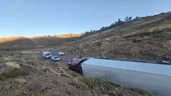 Camión iba de Chile a Brasil con 20 toneladas de salmón y volcó en Pino Hachado
