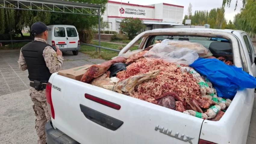Secuestraron más de 3 toneladas de carne podrida en comercios de Cipolletti y Fernández Oro