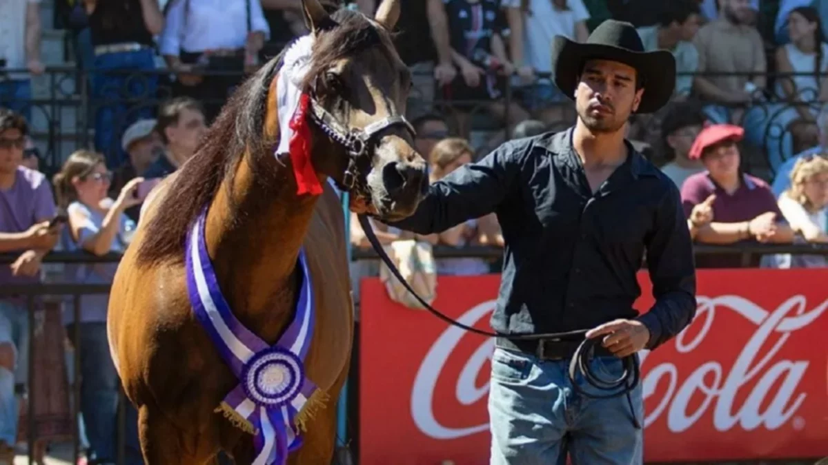 Es neuquino, trabaja en el petróleo y lo premiaron en La Rural por su labor en la cría de caballos