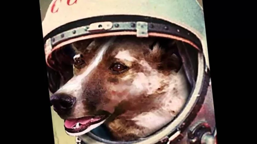 La triste historia de Laika, la perra vagabunda enviada para morir en el espacio