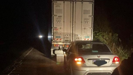 Del Mercado Central al Alto Valle: Gendarmería frenó un camión con droga