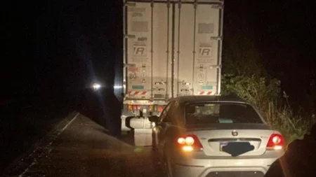 Del Mercado Central al Alto Valle: Gendarmería frenó un camión con droga