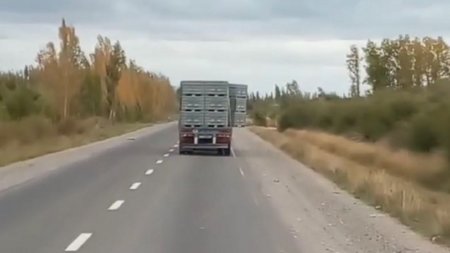Un camión con bines de fruta colgando casi provoca un desastre en plena ruta