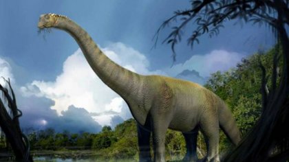 Rocasaurus Muniozi, el cuellolargo rionegrino que respiraba como un pájaro
