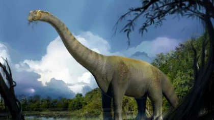Rocasaurus Muniozi, el cuellolargo rionegrino que respiraba como un pájaro