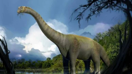 Rocasaurus Muniozi, el cuellolargo rionegrino que respiraba como un pájaro