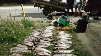 Semana Santa: realizarán un operativo especial contra la pesca y caza ilegal