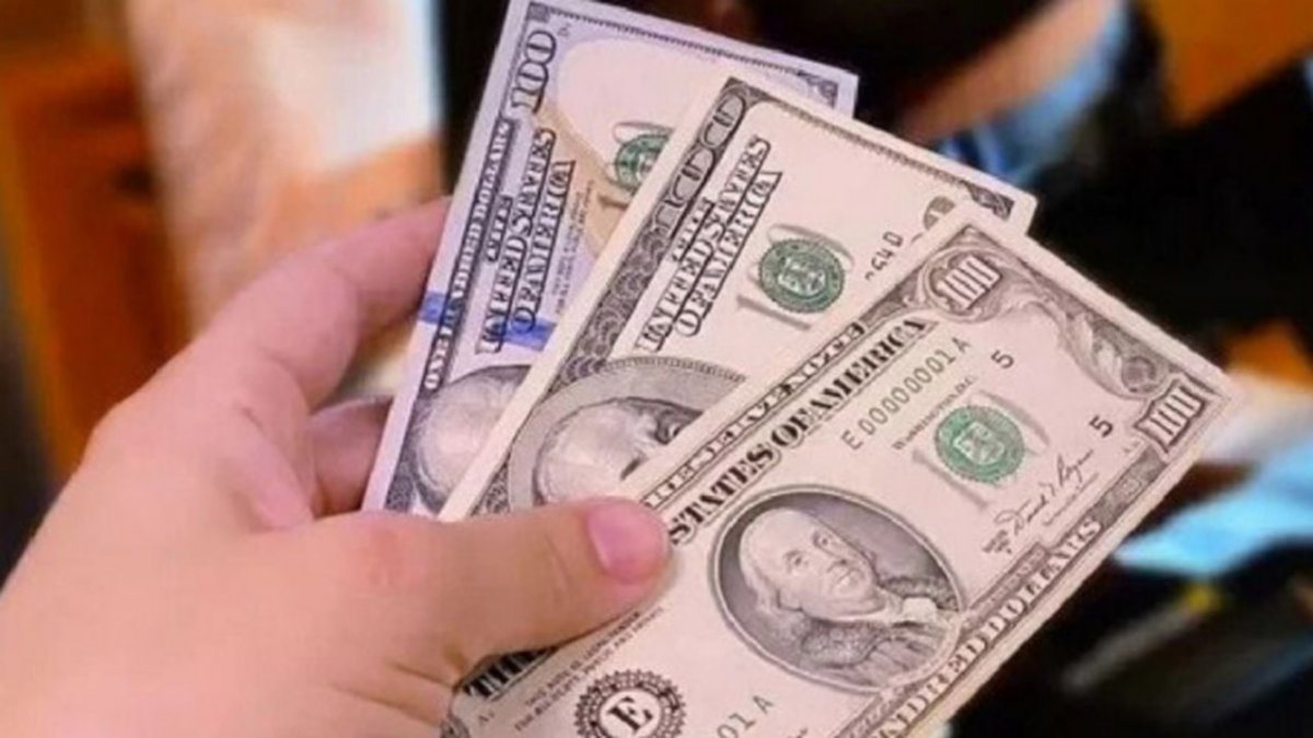 De cuánto fue la devaluación del peso en el primer día del dólar sin cepo