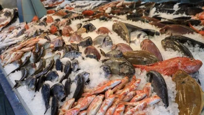 Horario corrido en las pescaderías de Neuquén por el furor de Semana Santa: qué opciones hay