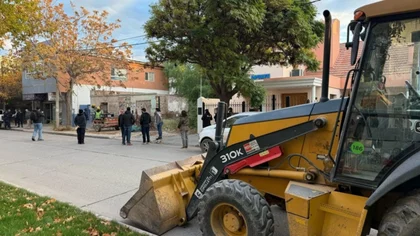 Tiraron otro aguantadero en el centro: "Una selva en el medio de la ciudad"