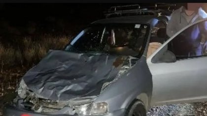 No vio a la vaca y la chocó de frente, en Ruta 237