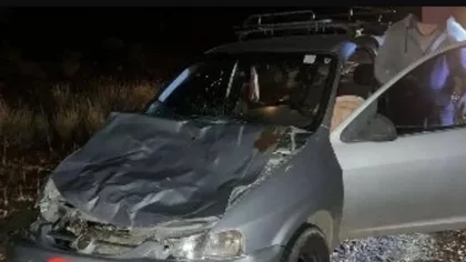 No vio a la vaca y la chocó de frente, en Ruta 237