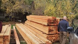 Tala ilegal en bosques en Lago Puelo: en 13 allanamientos secuestraron 7.000 pies de madera