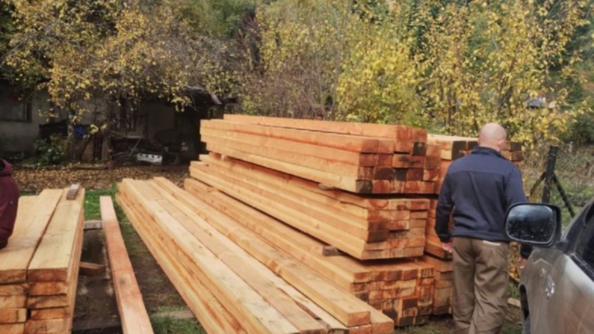 Tala ilegal en bosques en Lago Puelo: en 13 allanamientos secuestraron 7.000 pies de madera