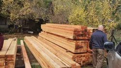 Tala ilegal en bosques en Lago Puelo: en 13 allanamientos secuestraron 7.000 pies de madera
