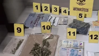 Desmantelaron dos búnkeres de droga en el oeste neuquino