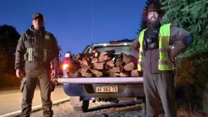 Detectaron transporte ilegal de leña en el Parque Nacional Nahuel Huapi