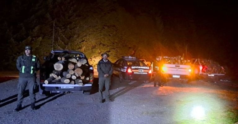 Detectaron transporte ilegal de leña en el Parque Nacional Nahuel Huapi