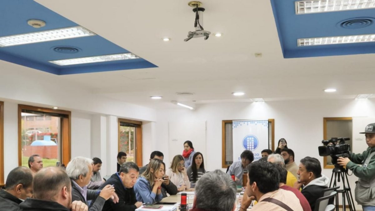 Desregulación de Uber en Neuquén: en junio estiman que se apruebe el proyecto
