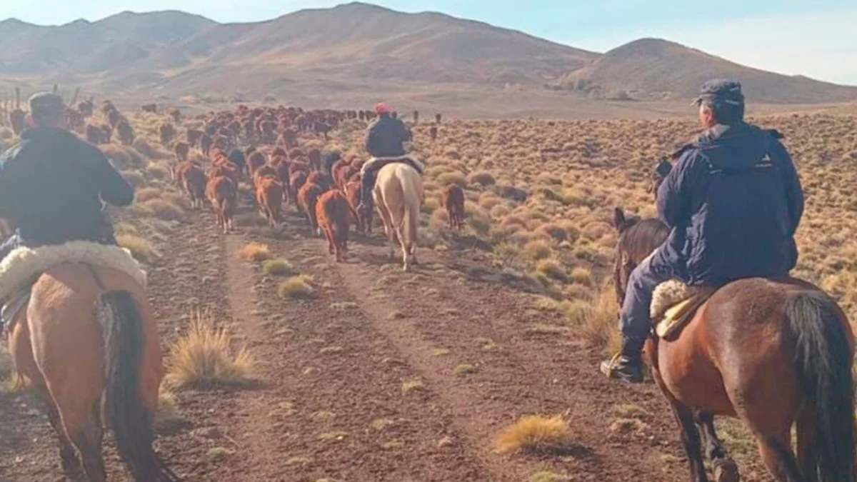 Policía a la par de los crianceros: el operativo que cuidó la trashumancia