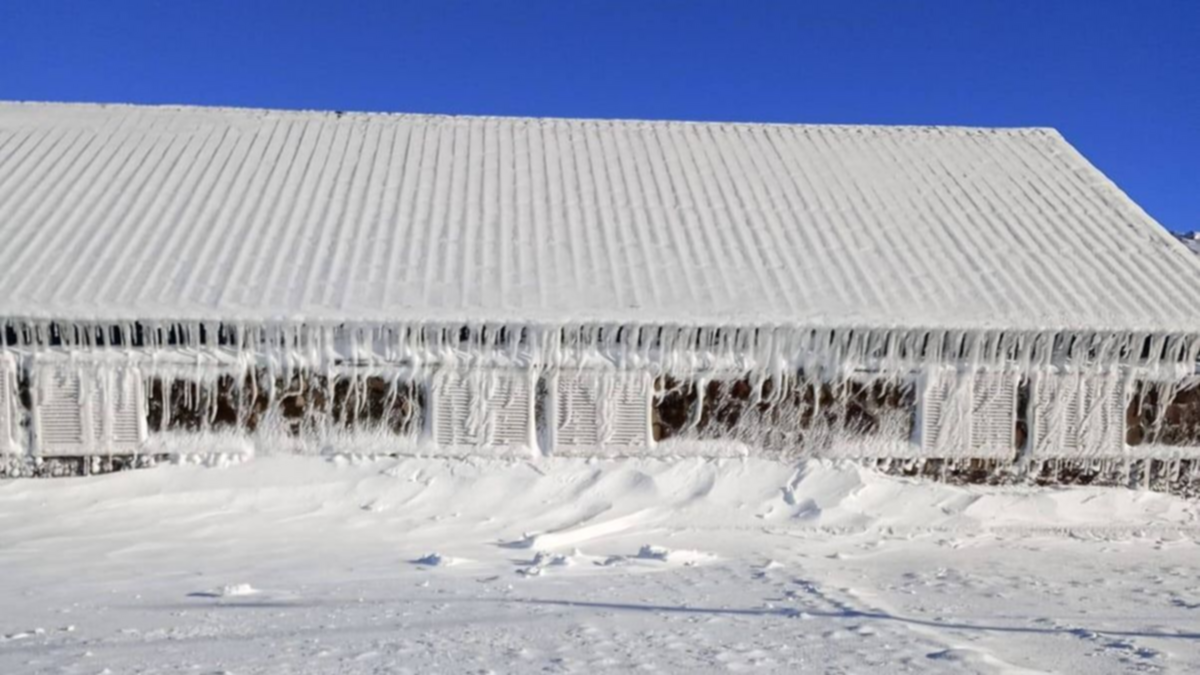 Un manto de nieve cubrió Copahue: mirá las imágenes