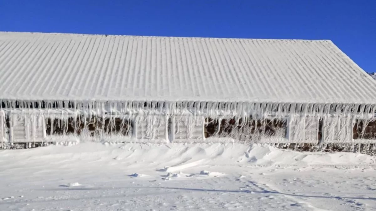 Un manto de nieve cubrió Copahue: mirá las imágenes