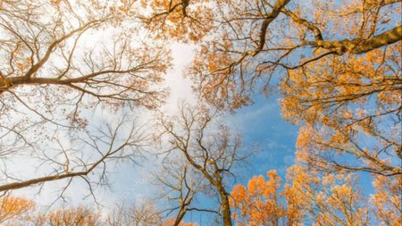 Así estará el tiempo el último día de abril, en Neuquén