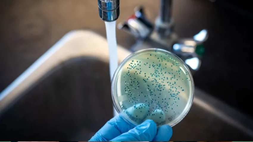 Fiebre tifoidea: el foco estaría en el agua, según un infectólogo
