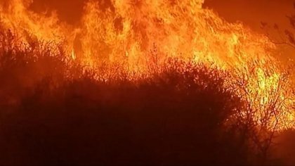 Controlaron el incendio de pastizales que generó preocupación en Senillosa