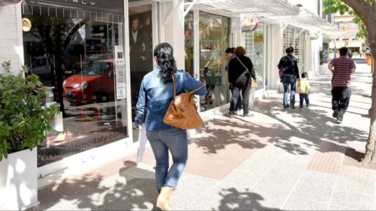 Los shoppings registran la mayor cantidad de locales cerrados en Neuquén