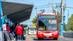 Sin colectivos: cómo se cumple el paro de UTA en Río Negro 