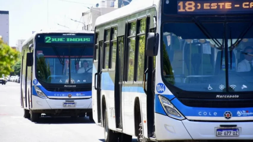 Atención Neuquén: por el paro nacional no hay colectivos en la región