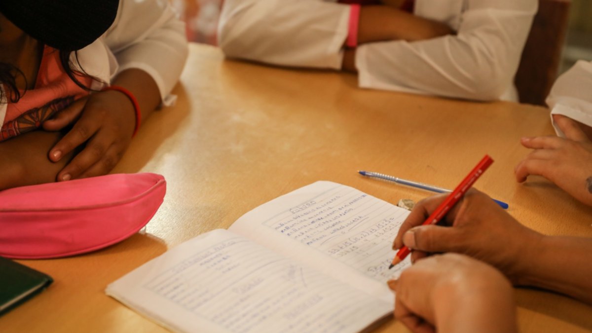 Neuquén: 15% de los chicos de tercer grado no lee más que frases simples