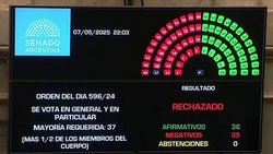El Senado rechazó el proyecto de ley de Ficha Limpia