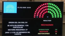 El Senado rechazó el proyecto de ley de Ficha Limpia
