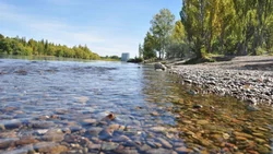 Pronóstico: tiempo cálido en Neuquén para este domingo