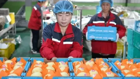 La pera china llega a Argentina: una fruta importada que plantea incómodas preguntas económicas