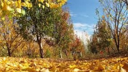 Viento en aumento y clima agradable en Neuquén: el pronóstico para este jueves