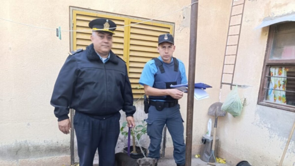 Demoraron al dueño del pitbull que mordió a 5 personas