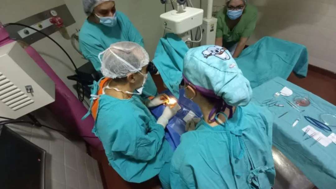 Neuquén, provincia líder en donación de órganos: cifras que salvan vidas