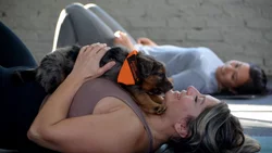 Yoga con cachorros: la adorable propuesta de Fun.Pa.Bia para fomentar la adopción 