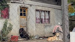 Otra vecina de Villa La Angostura terminó en el hospital por mordedura de perros
