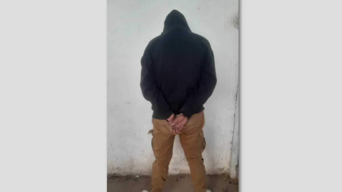 Detuvieron a un joven que apuñaló a su hermana en Centenario