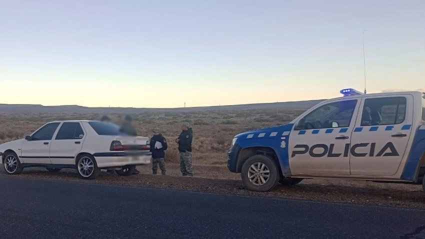Asesinaron a un animal protegido para vender su carne y fueron descubiertos de una manera insólita