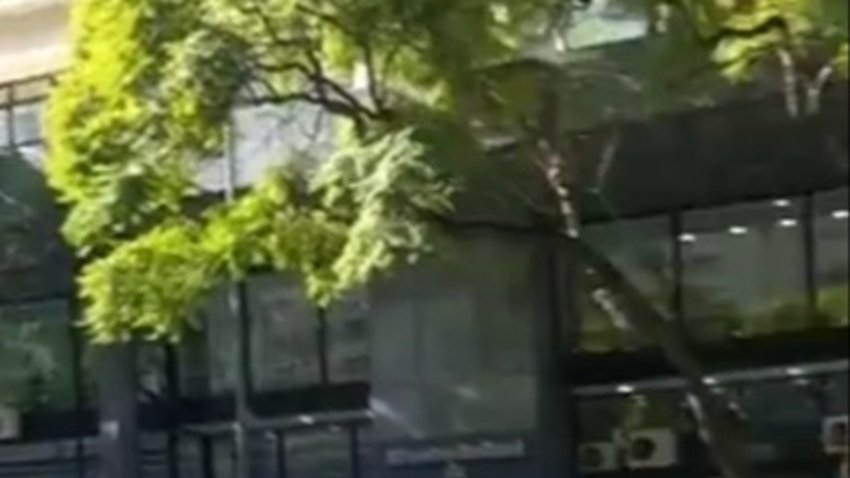 “Estado de Alerta”: denuncian que el Gobierno busca cerrar Vialidad Nacional