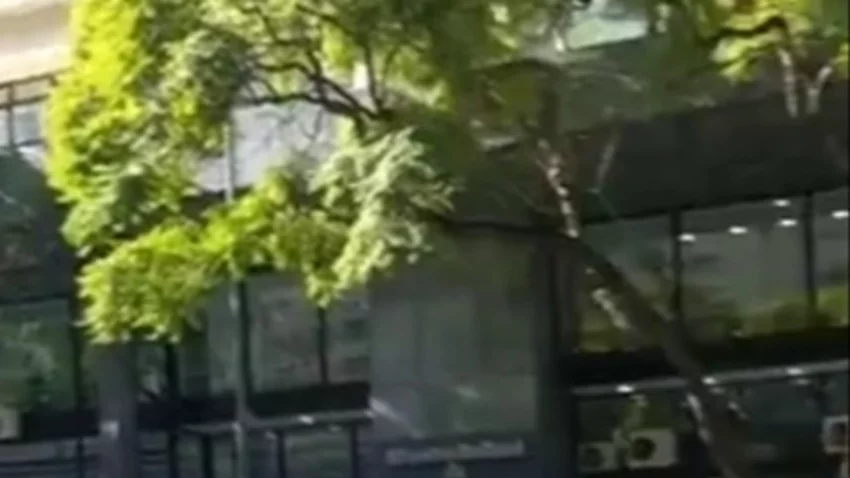“Estado de Alerta”: denuncian que el Gobierno busca cerrar Vialidad Nacional