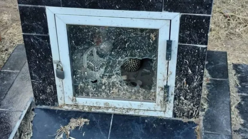 Destrozaron la tumba de su marido y le robaron hasta los recuerdos: “Me dijeron que fue el viento”